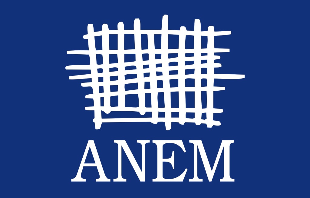 AnemLogo