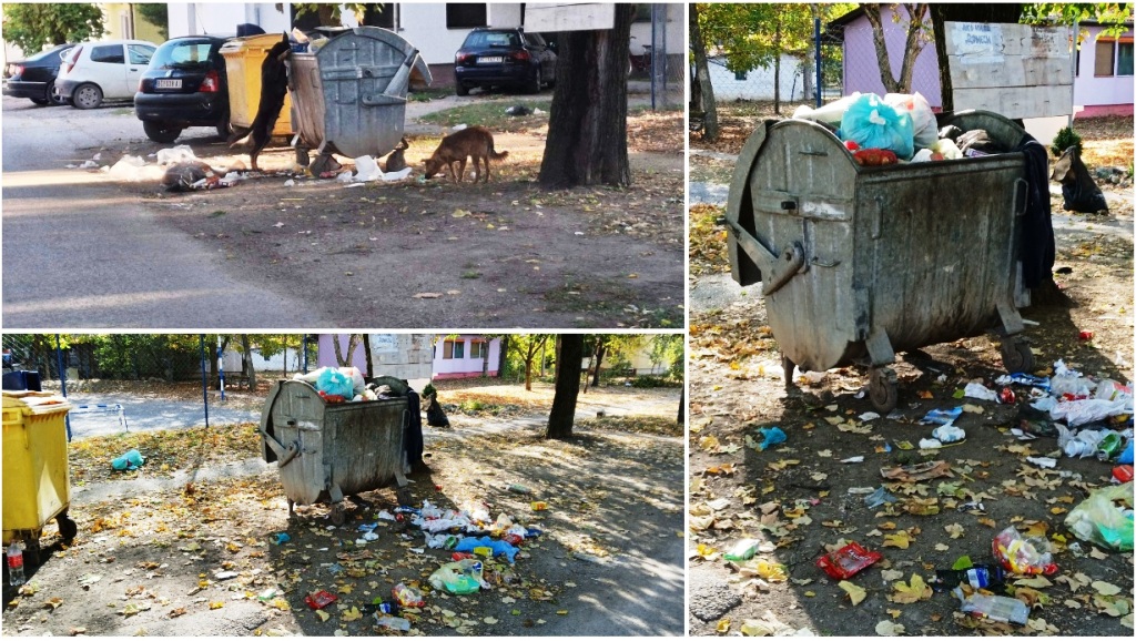 Kontejner Sever Oktobar 2025